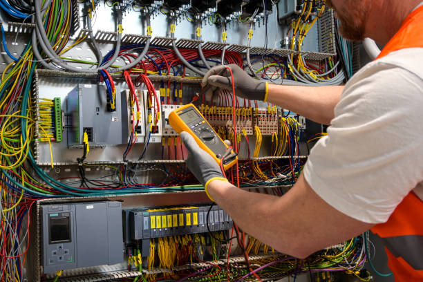 Best Electric Panel Repair  in Gardnerville Ranchos, NV